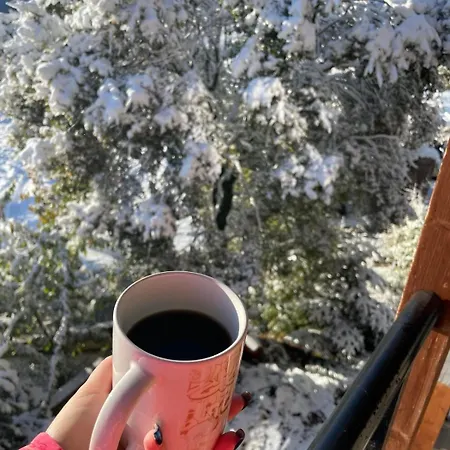 Miltilon 3* Синикия-Меси-Трикала